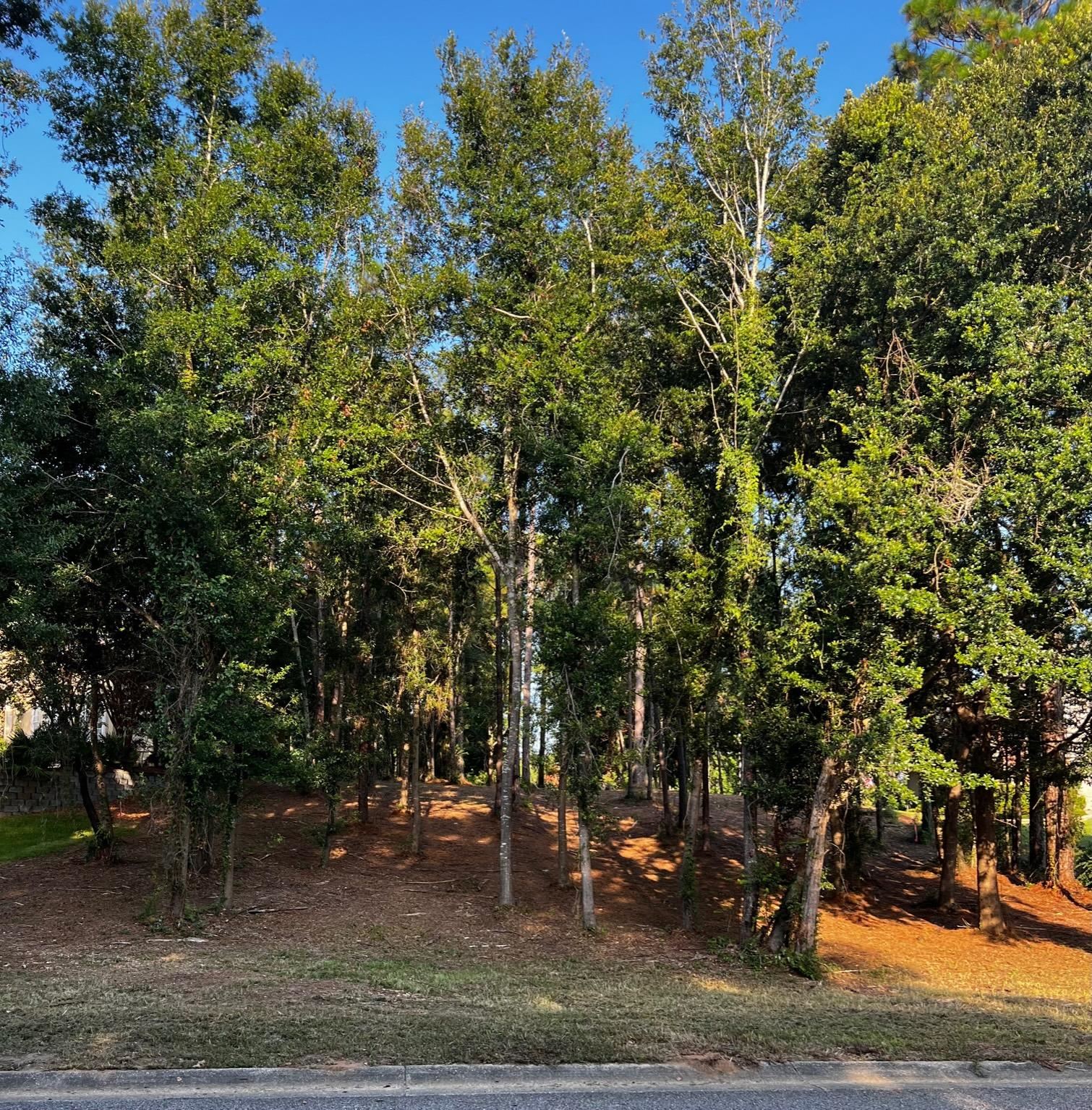 115 Augusta Court Fairhope, AL 36532 - Photo 1 of 12
