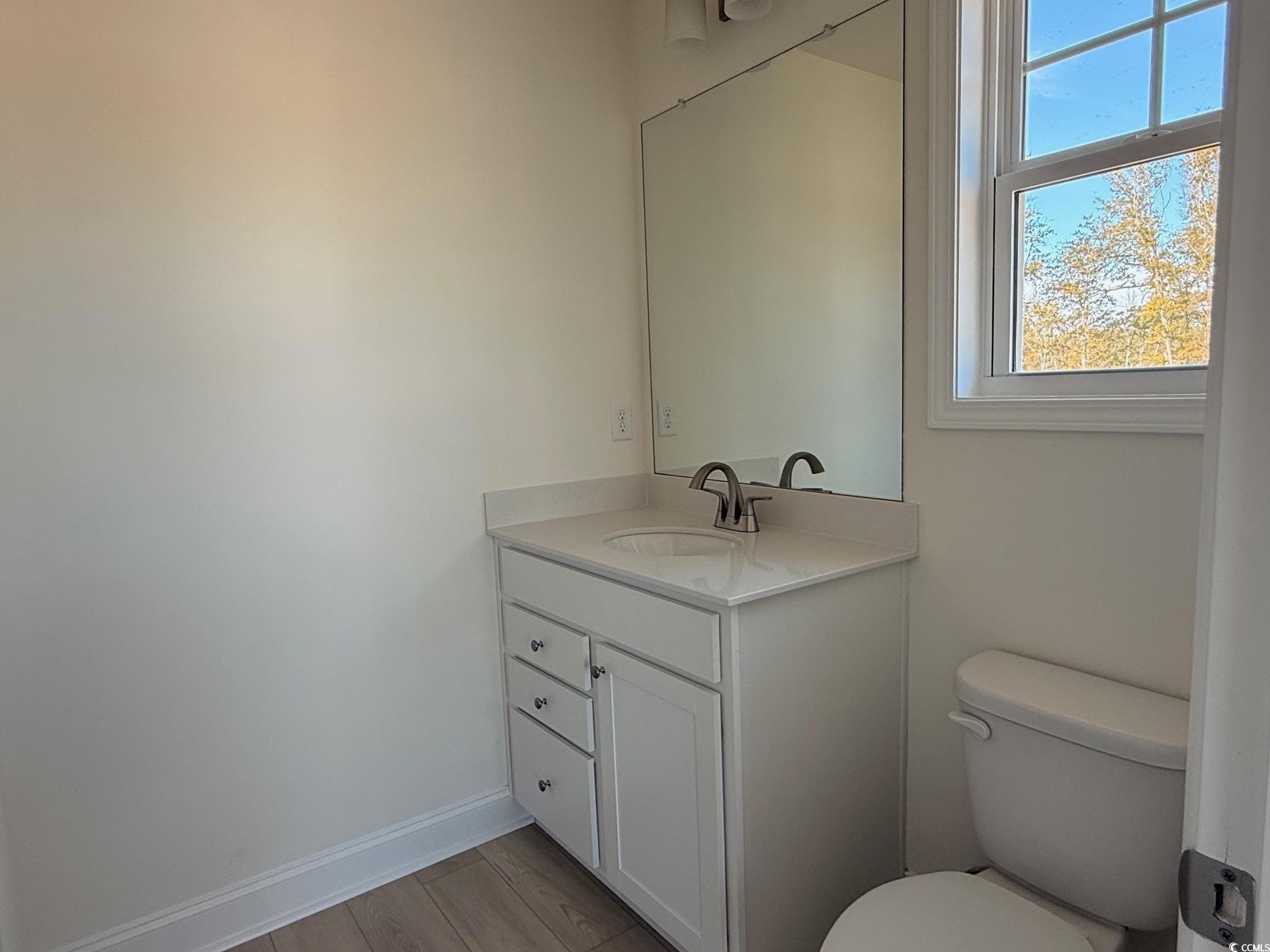 209 Blue Wing Court Conway, SC 29527 - Photo 11 of 15 Half bathroom with vanity