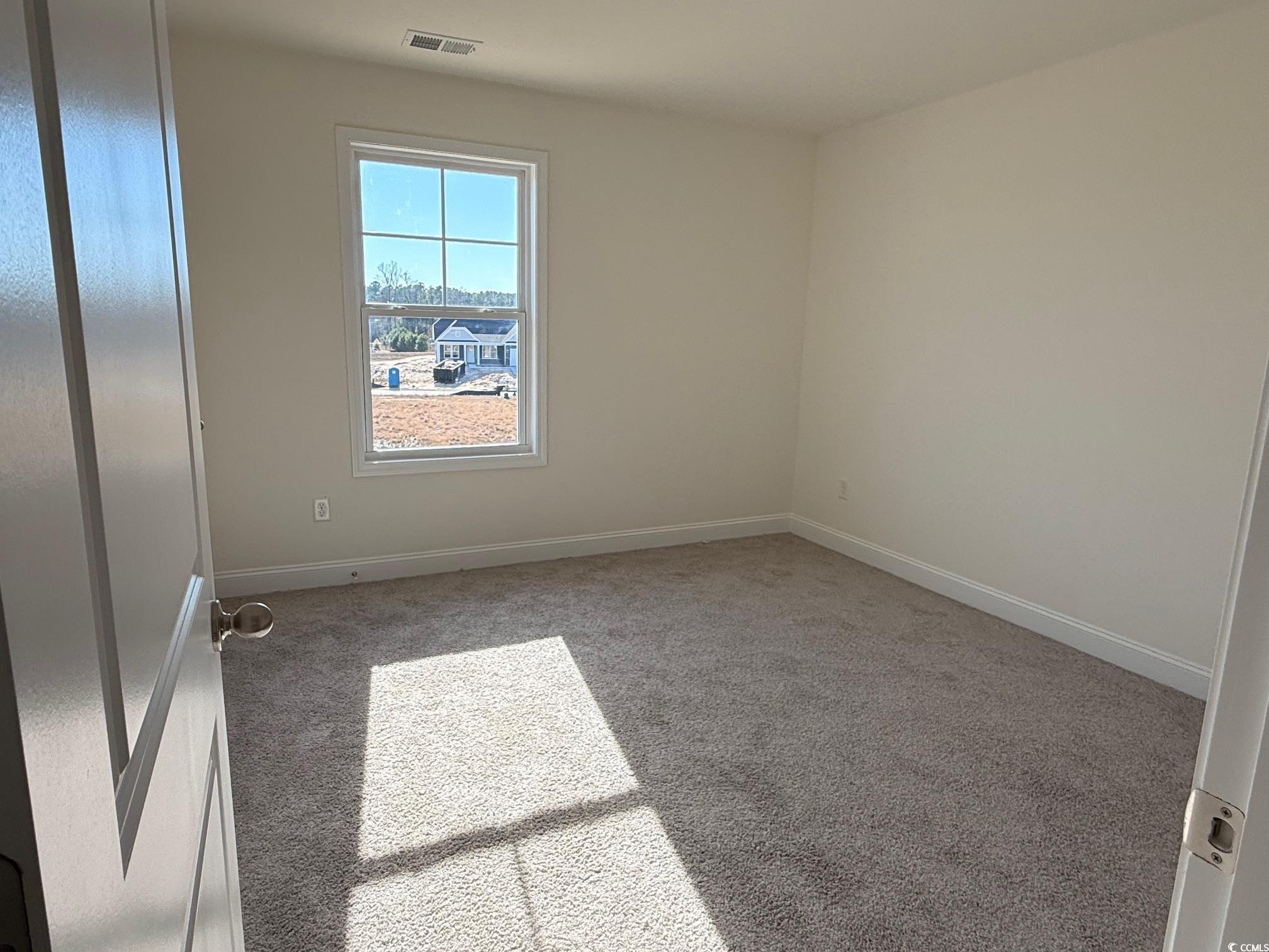 209 Blue Wing Court Conway, SC 29527 - Photo 13 of 15