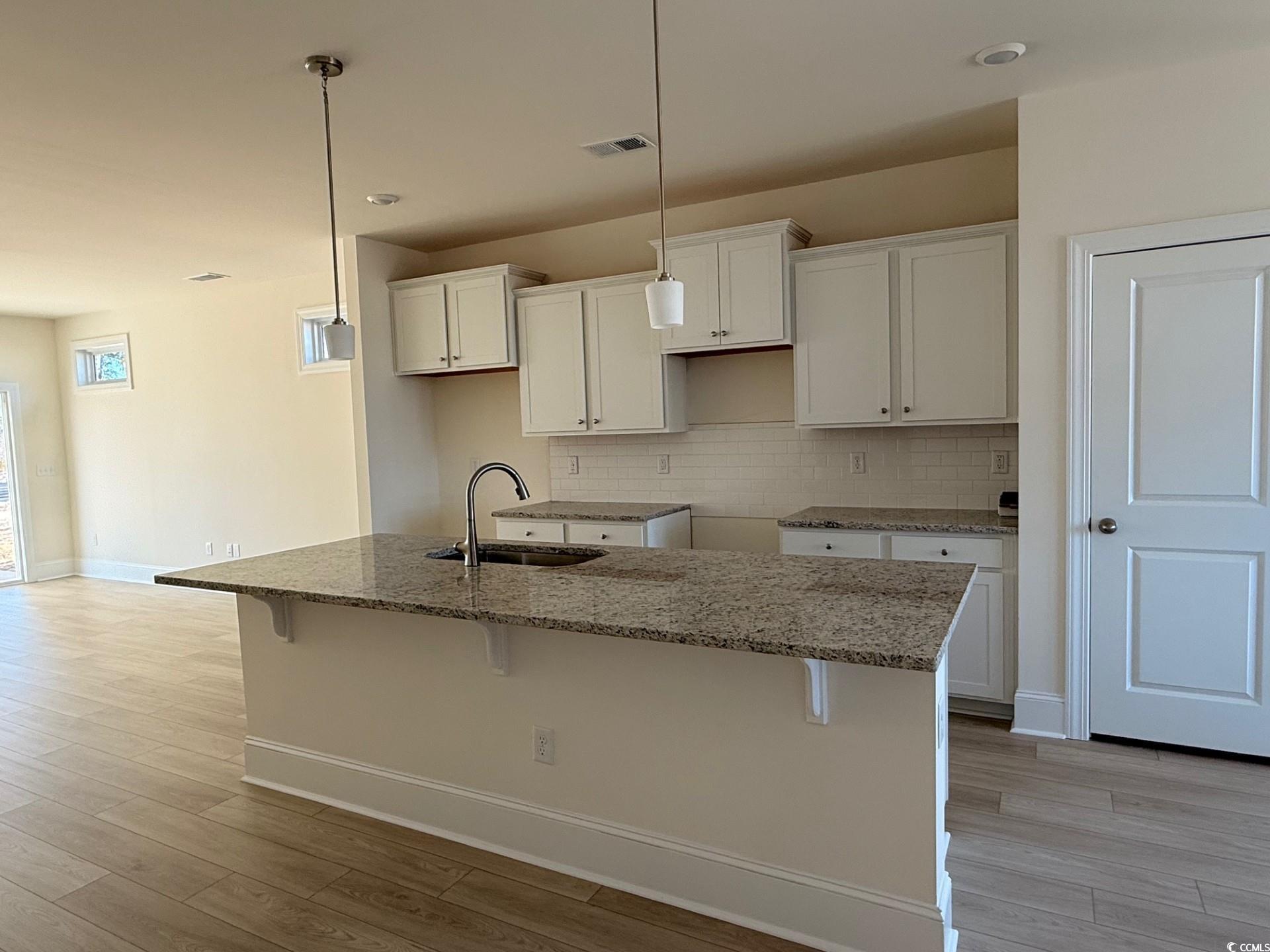 209 Blue Wing Court Conway, SC 29527 - Photo 3 of 15