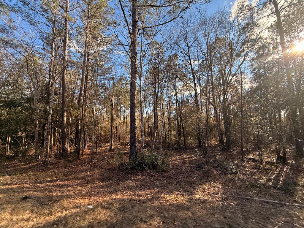 0 West Union Road Carriere, MS 39426 - Photo 1 of 1 Main View