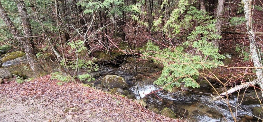 285 Roxbury Notch Road Roxbury, ME 04275 - Photo 39 of 40 40 Brook