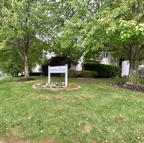 a view of a backyard with a garden