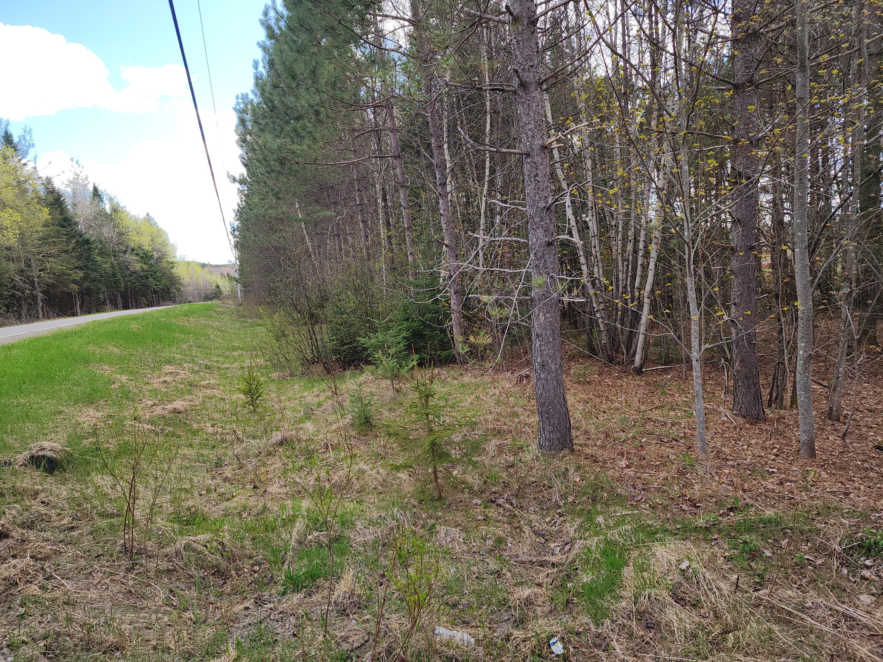 6 Haynes Road Wytopitlock, ME 04497 - Photo 15 of 16 20240507_145045