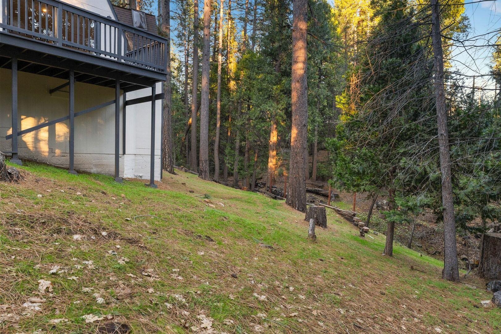 5841 Fallen Oak Drive Pollock Pines, CA 95726 - Photo 35 of 44 a backyard of a house with lots of green space