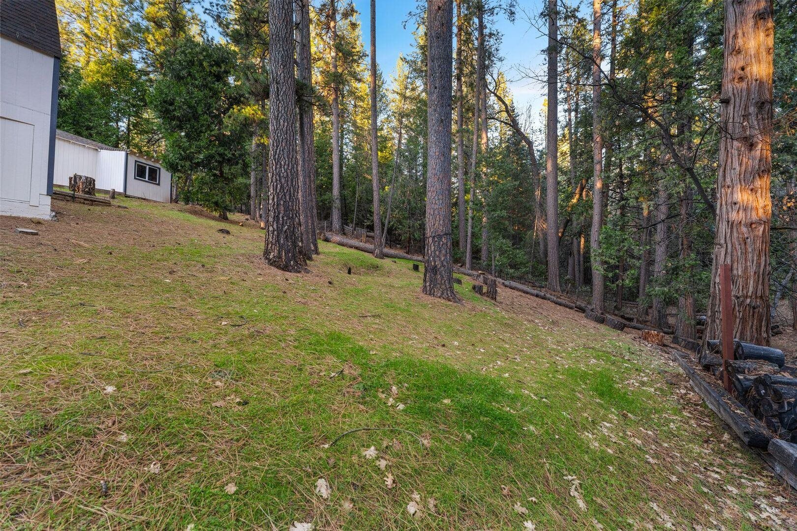 5841 Fallen Oak Drive Pollock Pines, CA 95726 - Photo 36 of 44 a view of a yard with a tree