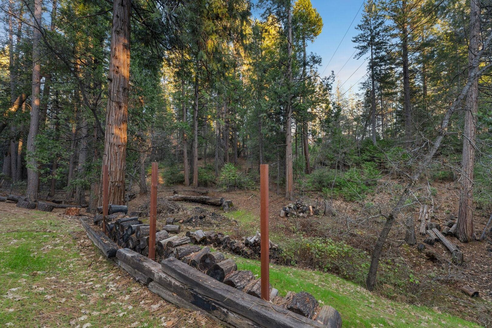 5841 Fallen Oak Drive Pollock Pines, CA 95726 - Photo 37 of 44 a view of a forest filled with trees