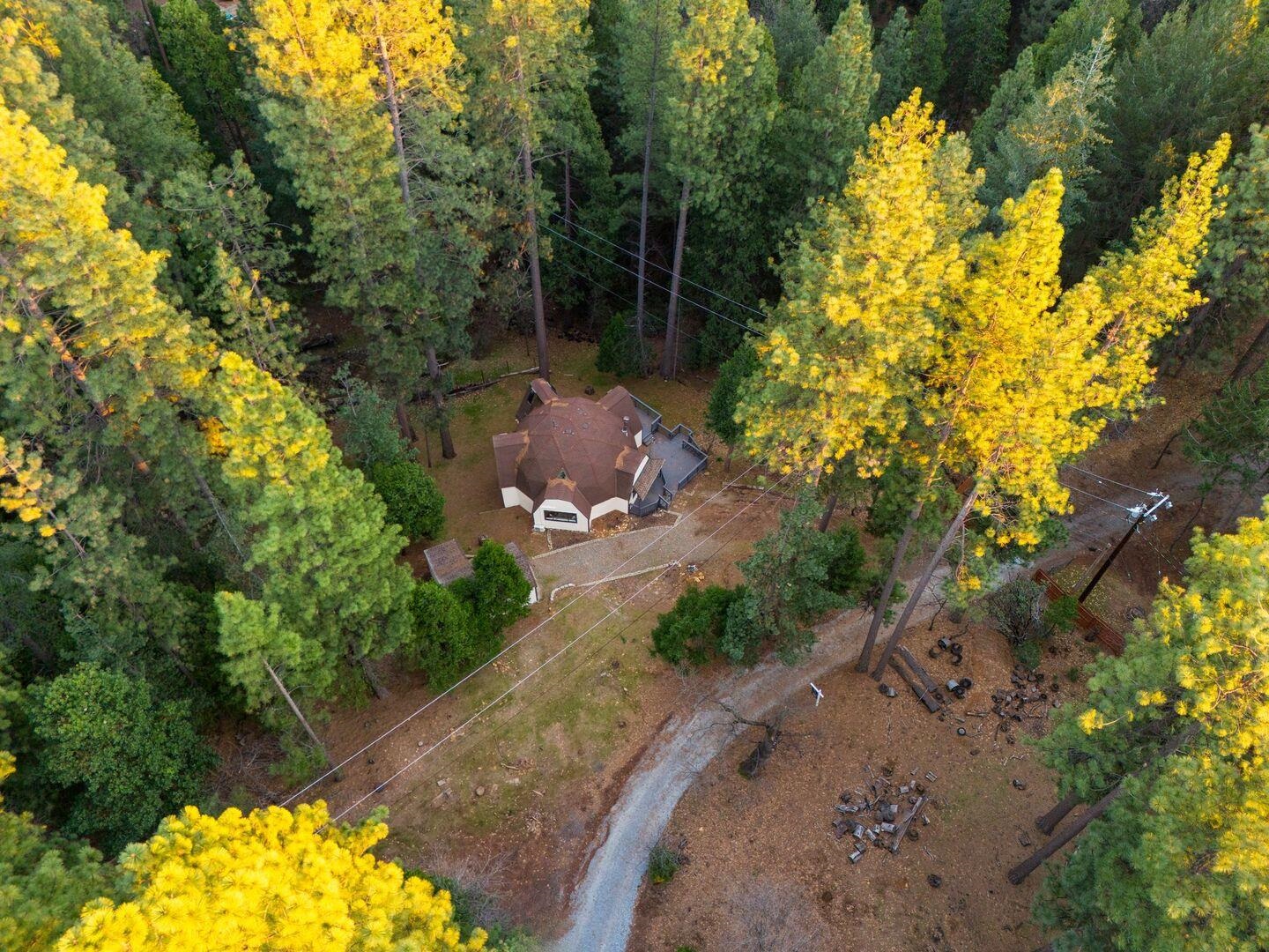 5841 Fallen Oak Drive Pollock Pines, CA 95726 - Photo 39 of 44 a view of a pathway with a yard
