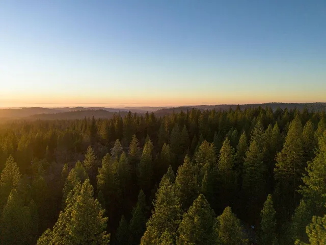 $389,000 | 5841 Fallen Oak Drive, Pollock Pines, CA 95726