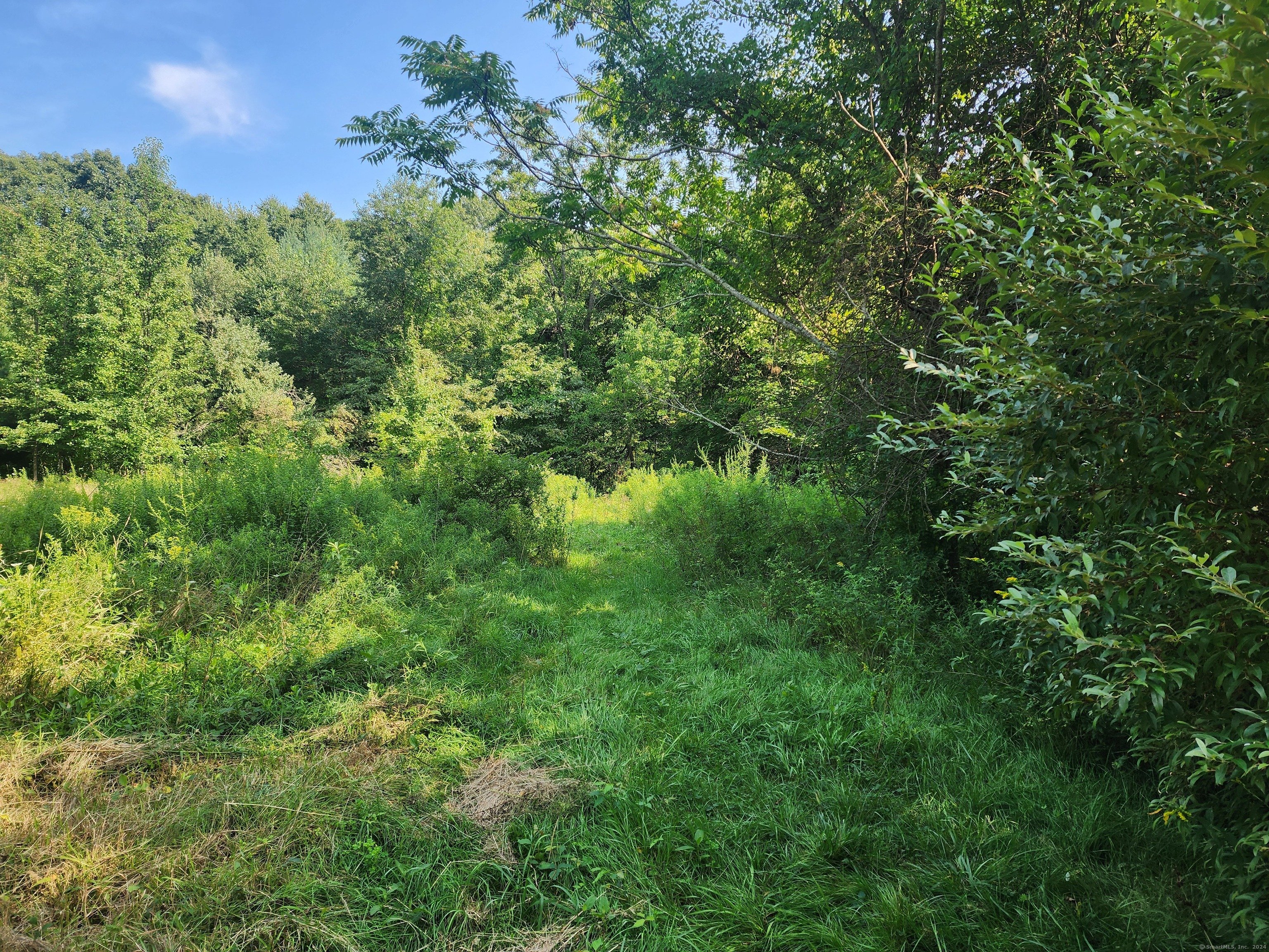 5 Avery St Extension Norwich, CT 06360 - Photo 15 of 17 a view of a lush green forest with houses a houses and lake