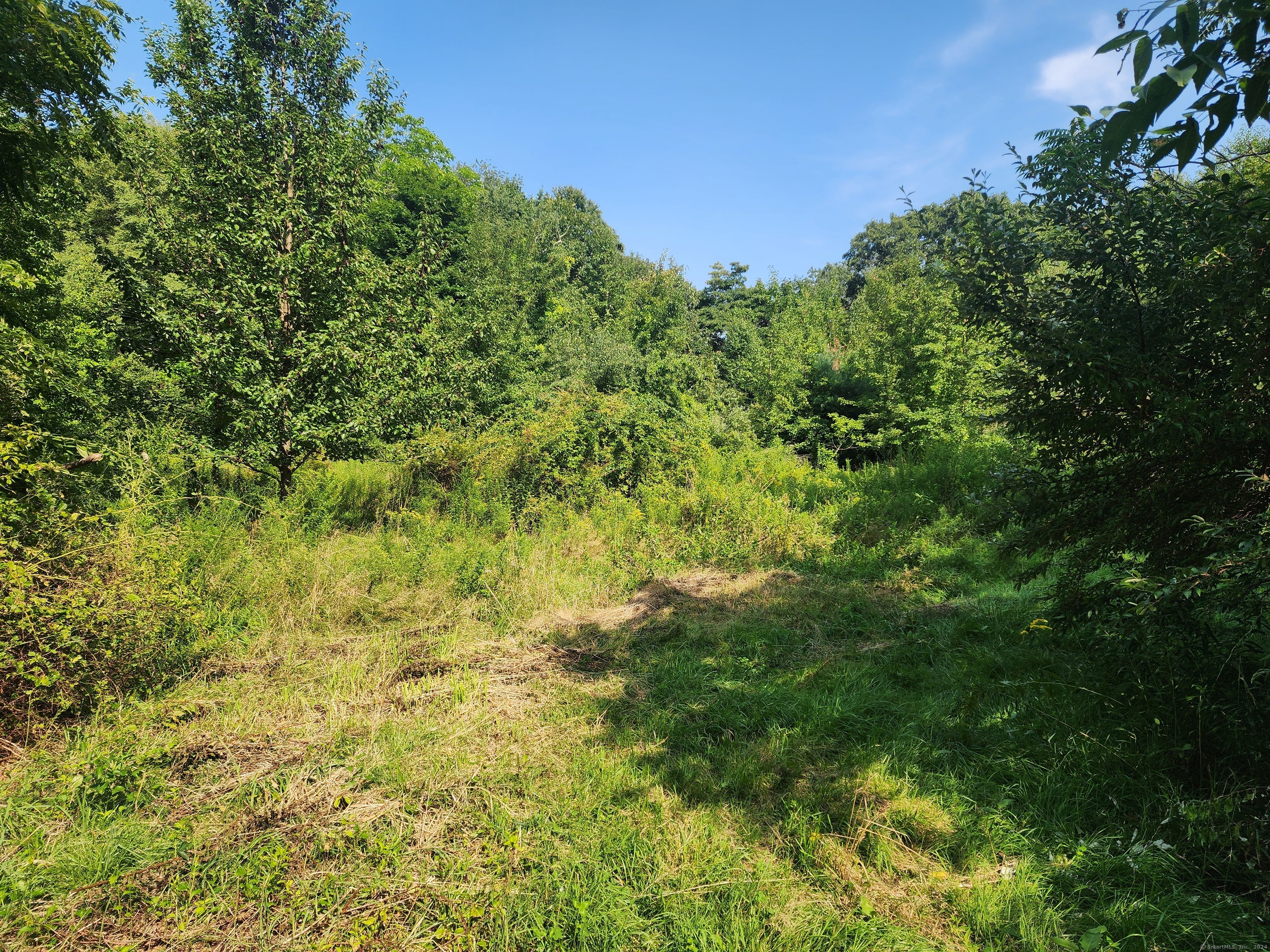 5 Avery St Extension Norwich, CT 06360 - Photo 17 of 17 a view of a big yard with large trees