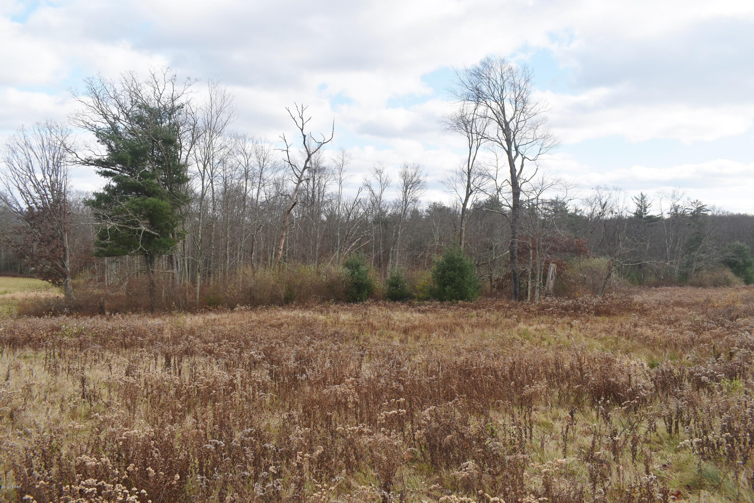 228 Welcome Lake Road Beach Lake, PA 18405 - Photo 20 of 22