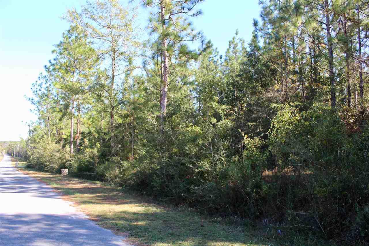 5055 Dobson Road Jay, FL 32565 - Photo 3 of 9 Gallery Image 3