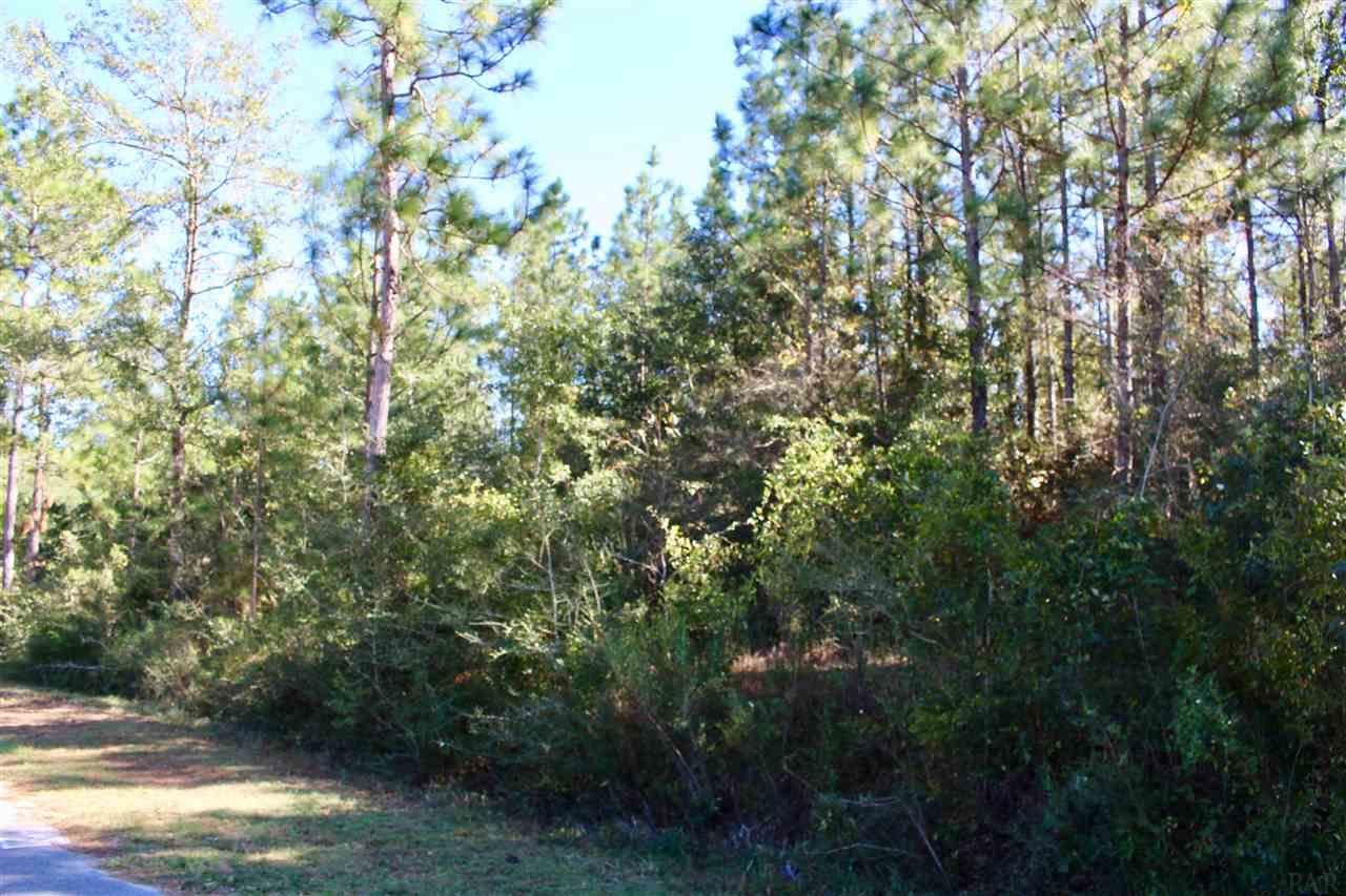 5055 Dobson Road Jay, FL 32565 - Photo 5 of 9 Gallery Image 5