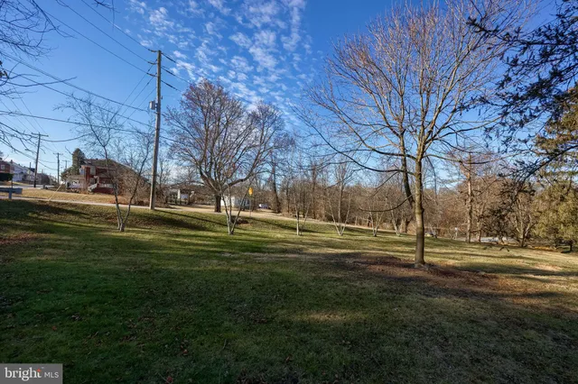 a view of a park with large trees