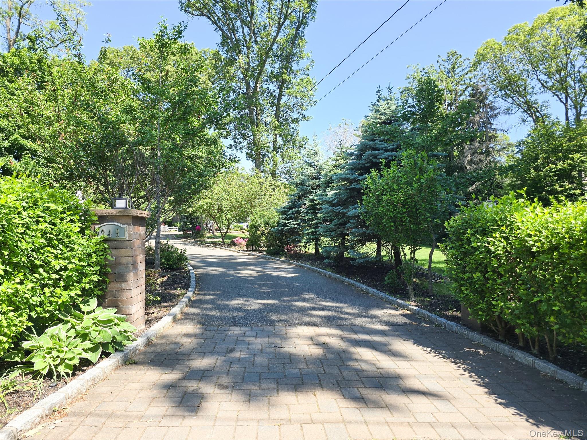 249 Cold Spring Road Syosset, NY 11791 - Photo 3 of 28 a view of a street with potted plants and large trees