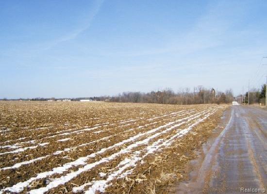 1 Gregory Fowlerville, MI 48836 - Photo 2 of 4 MI Gregory 03 Small.JPG