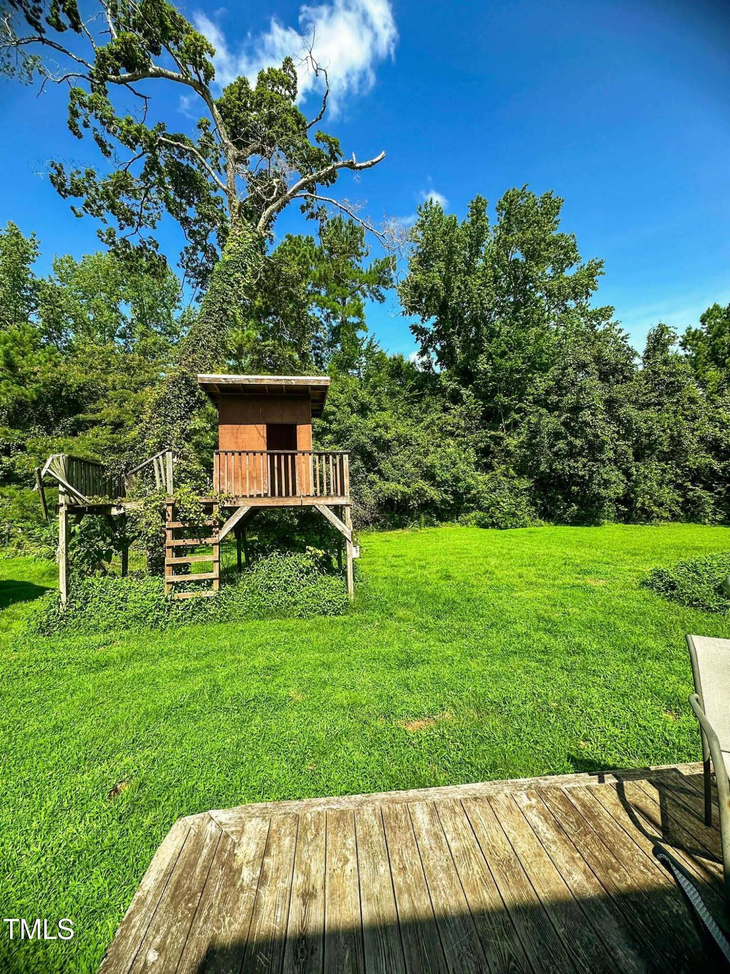 8683 Highway 15 Bullock, NC 27507 - Photo 32 of 36 a view of backyard with a garden and plants