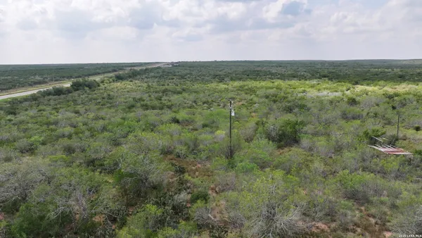 a view of a field of grass and trees