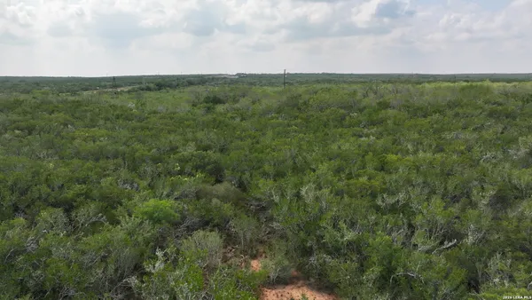 a view of a green field with lots of bushes