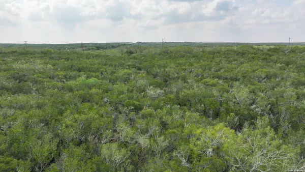a view of a green field with lots of bushes