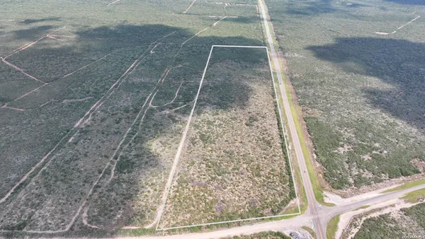 a view of a dry yard