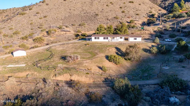 a view of a yard with plants and trees