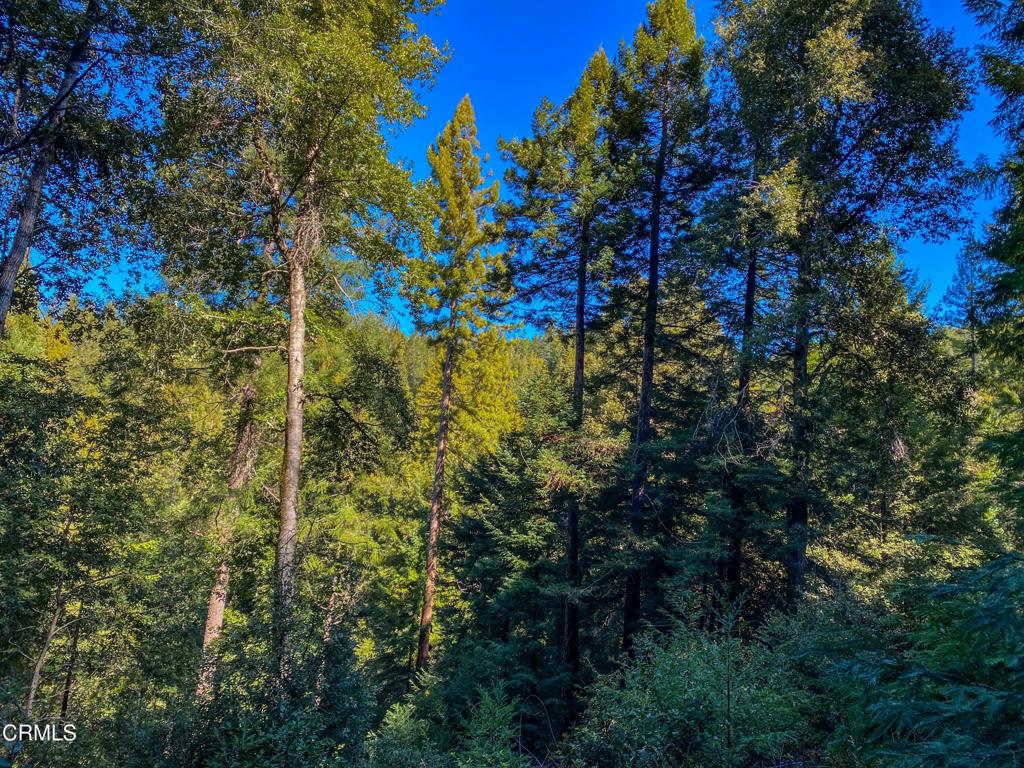 0 Irmulco Road Willits, CA 95490 - Photo 11 of 41 tempImagehycvA4