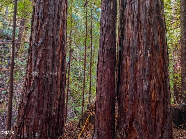 $1,500,000 | 0 Irmulco Road, Willits, CA 95490