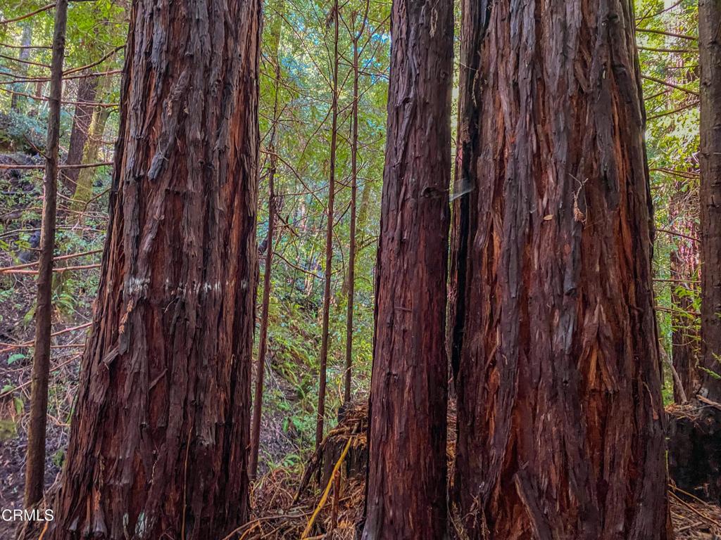 0 Irmulco Road Willits, CA 95490 - Photo 12 of 41 tempImageMrqsg8