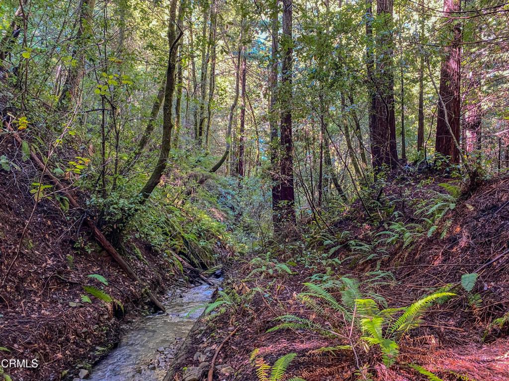 0 Irmulco Road Willits, CA 95490 - Photo 13 of 41 tempImageXx5ZgG