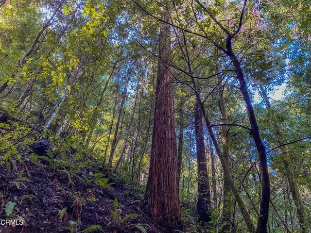 $1,500,000 | 0 Irmulco Road, Willits, CA 95490