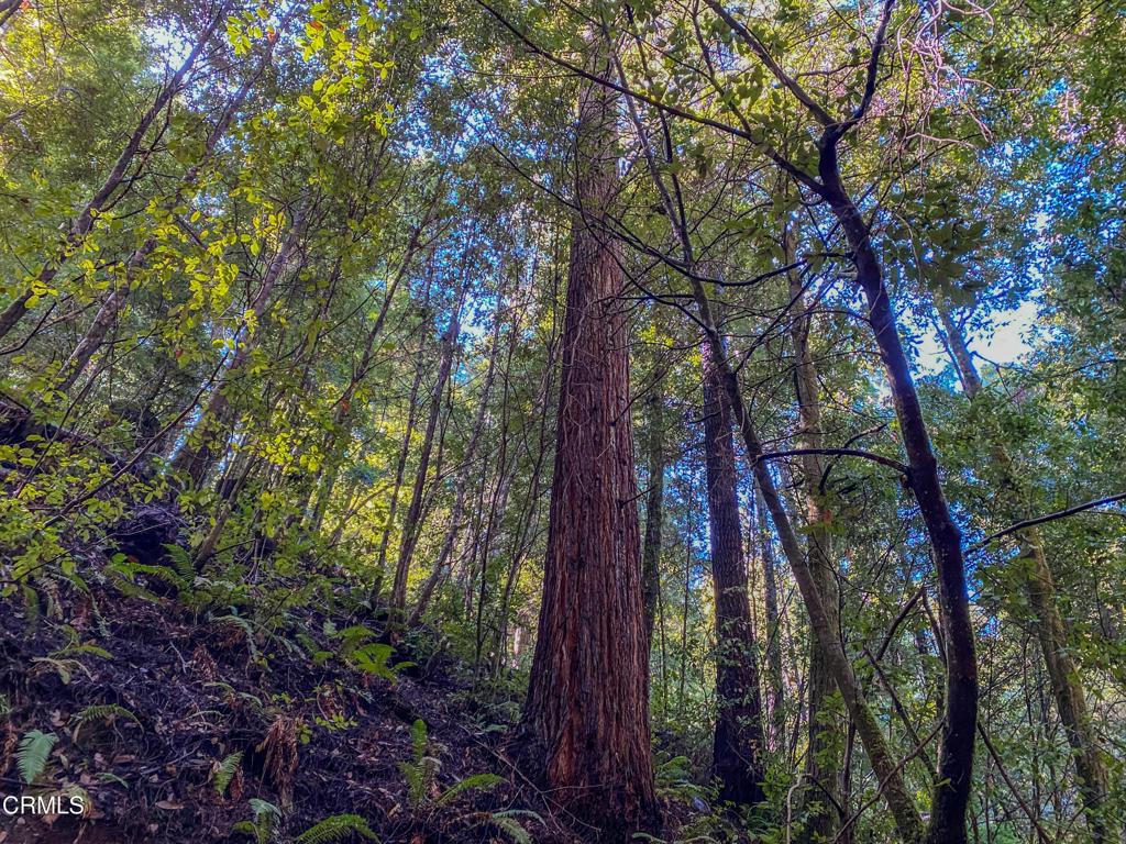 0 Irmulco Road Willits, CA 95490 - Photo 14 of 41 tempImage00Hfbl