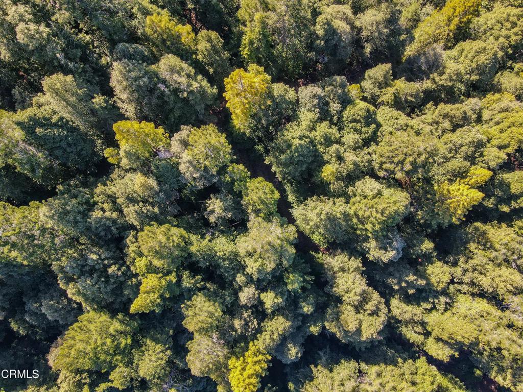 0 Irmulco Road Willits, CA 95490 - Photo 16 of 41 tempImagel57xI5