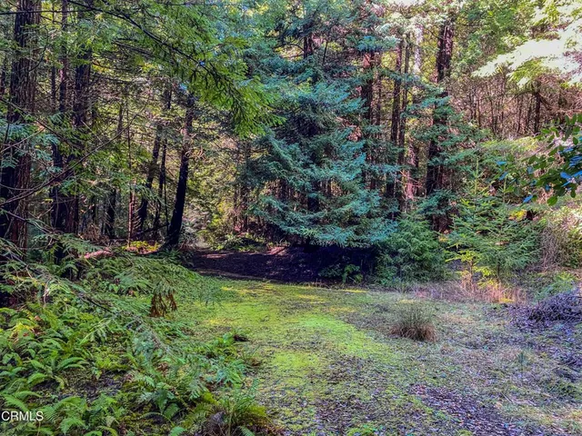 $1,500,000 | 0 Irmulco Road, Willits, CA 95490