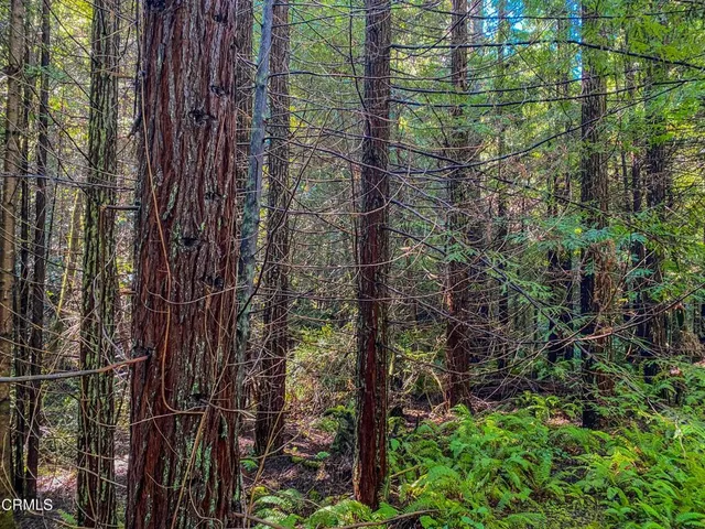 $1,500,000 | 0 Irmulco Road, Willits, CA 95490