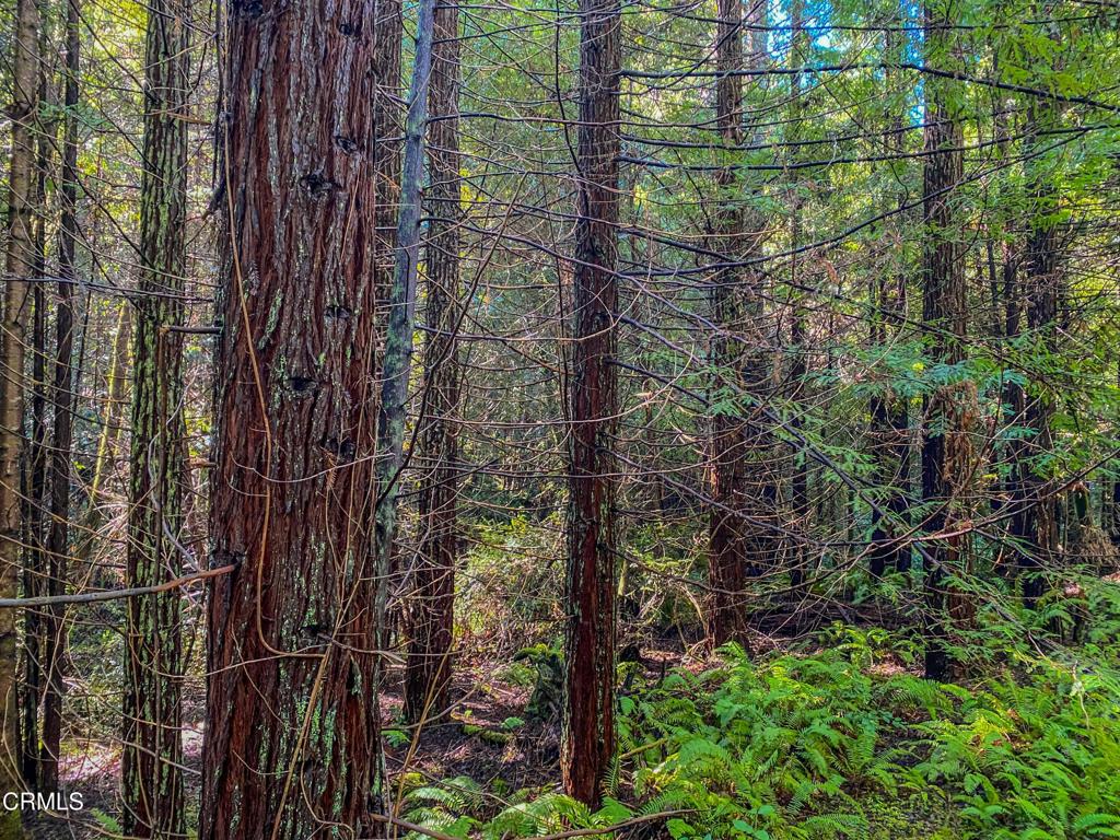 0 Irmulco Road Willits, CA 95490 - Photo 18 of 41 tempImagenCExdN