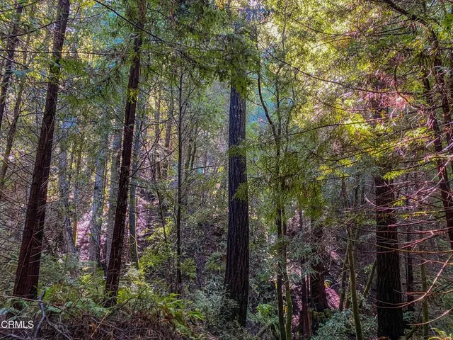 $1,500,000 | 0 Irmulco Road, Willits, CA 95490