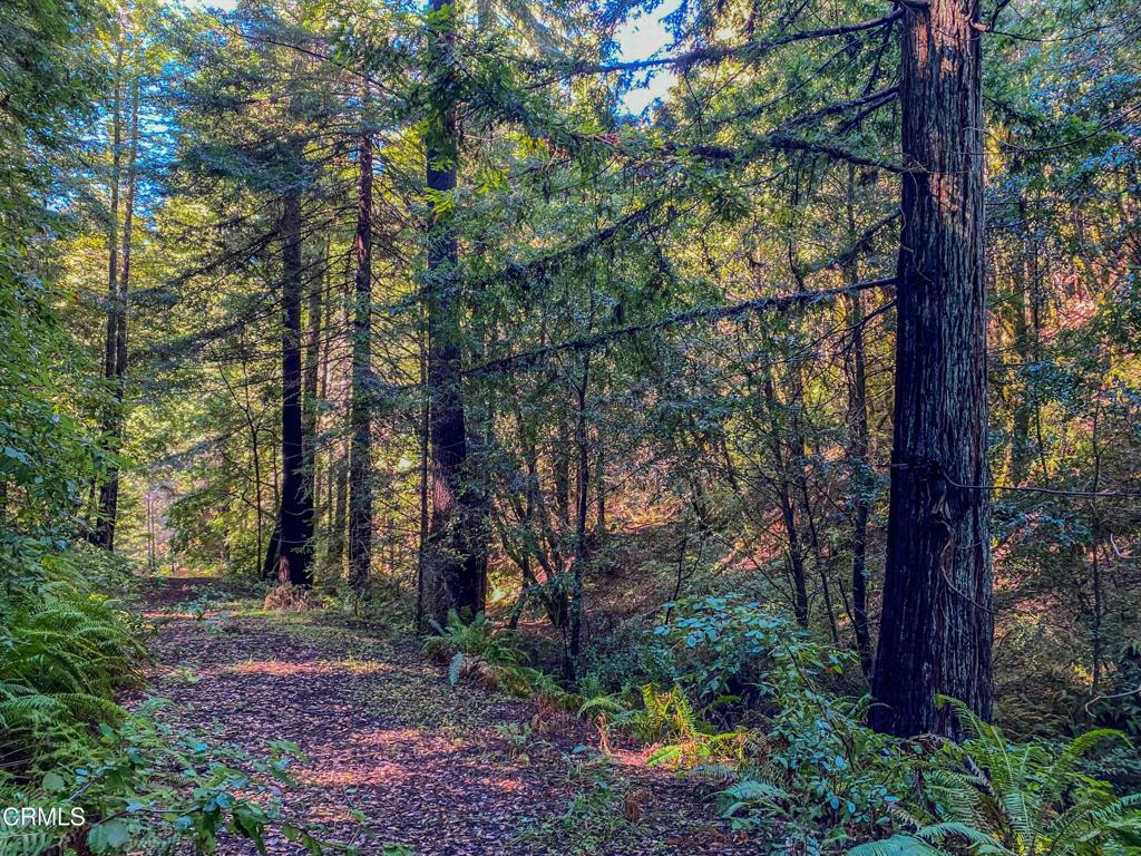 0 Irmulco Road Willits, CA 95490 - Photo 20 of 41 tempImageIVSmjj