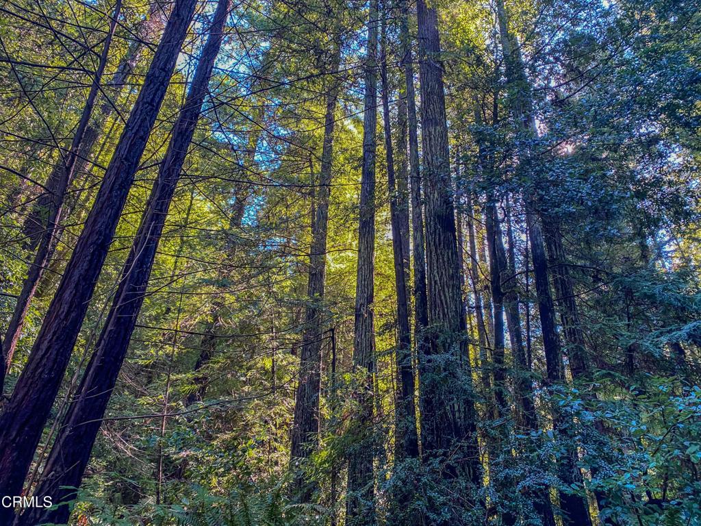 0 Irmulco Road Willits, CA 95490 - Photo 22 of 41 tempImageaVIb9d