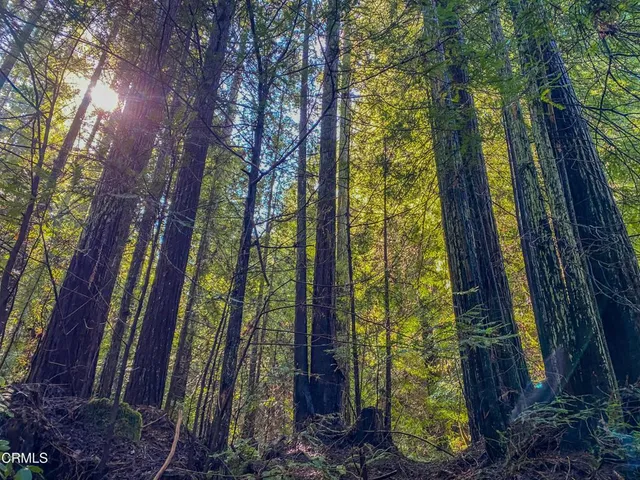 $1,500,000 | 0 Irmulco Road, Willits, CA 95490