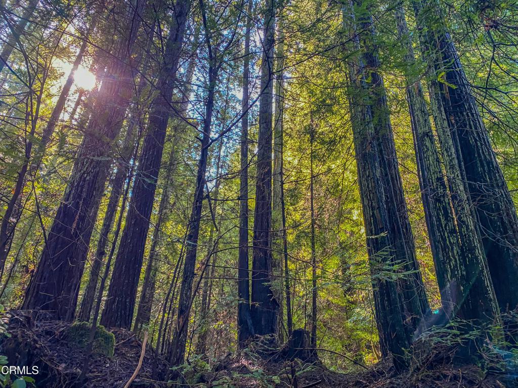 0 Irmulco Road Willits, CA 95490 - Photo 23 of 41 tempImagee9OwbO