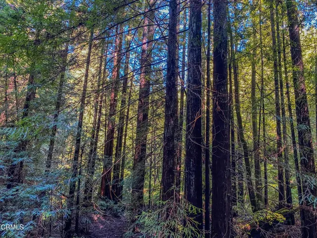 $1,500,000 | 0 Irmulco Road, Willits, CA 95490