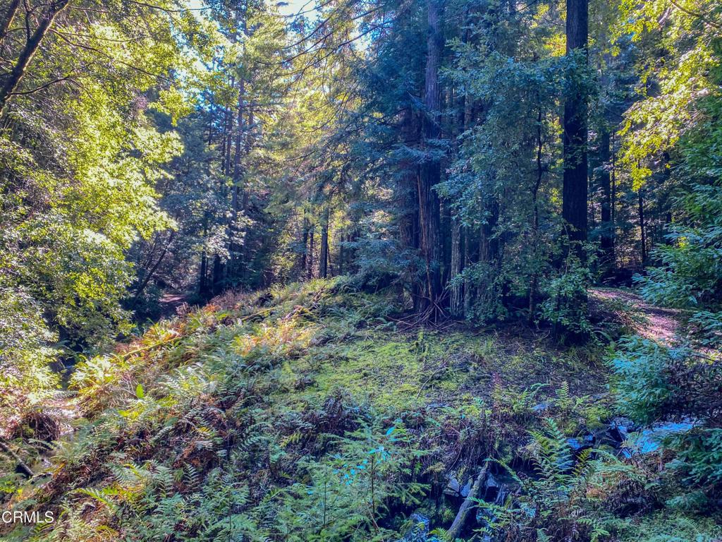 0 Irmulco Road Willits, CA 95490 - Photo 25 of 41 tempImageIkuyTQ