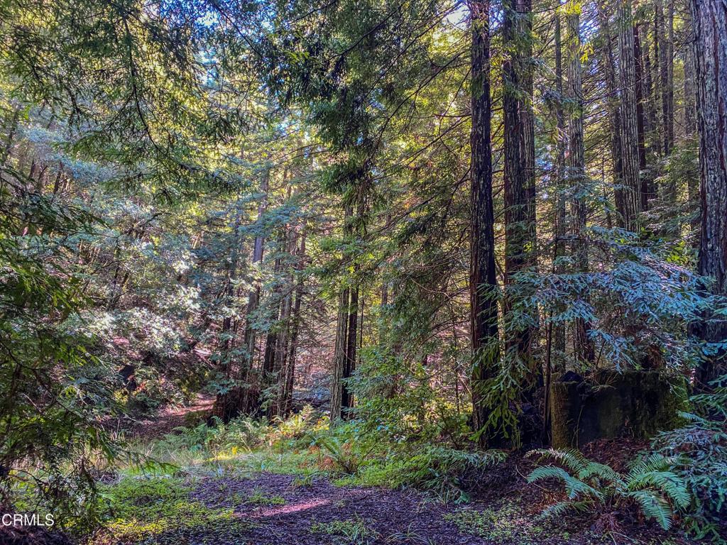 0 Irmulco Road Willits, CA 95490 - Photo 27 of 41 tempImaget7ikMx