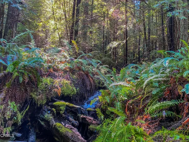 $1,500,000 | 0 Irmulco Road, Willits, CA 95490