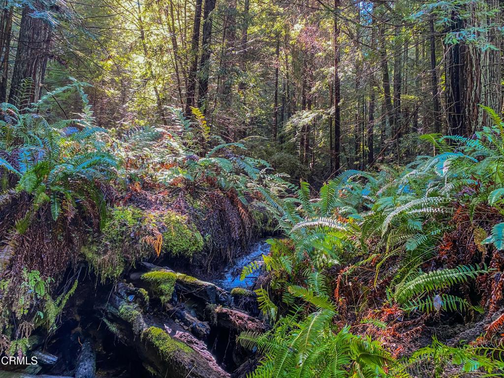 0 Irmulco Road Willits, CA 95490 - Photo 28 of 41 tempImagePbQdBY