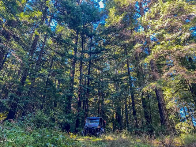 $1,500,000 | 0 Irmulco Road, Willits, CA 95490