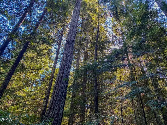 $1,500,000 | 0 Irmulco Road, Willits, CA 95490