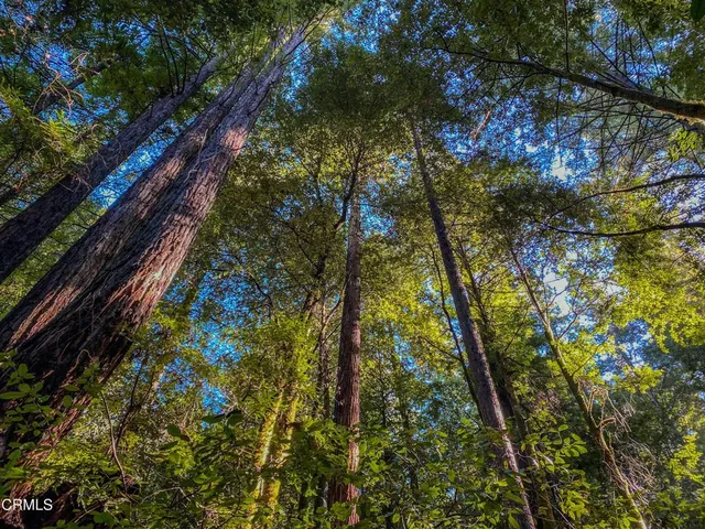 $1,500,000 | 0 Irmulco Road, Willits, CA 95490